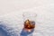 Glass of whiskey with ice on a bed of snow and white background, close up