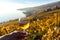 Glass of white wine in the hand against vineyards in Lavaux region, Switzerland