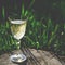 A glass of white wine on nature background