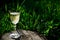 A glass of white wine on nature background