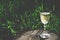 A glass of white wine on nature background