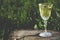 A glass of white wine on nature background