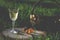 A glass of white wine on nature background