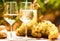 Glass of White wine ripe grapes and bread on table in vineyard