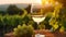 A glass of white wine with a vineyard in the background. Sunset over a beautiful grape farm with a glass of green wine standing on