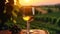 A glass of white wine with a vineyard in the background. Sunset over a beautiful grape farm with a glass of green wine standing on