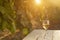 Glass with white wine in vineyard on old table. Vineyard at sunset. White wine glass, wine bottle and white grape on wood table