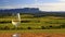 Glass of white wine on vineyard with vineyard and mountains in background. Australian wine concept.