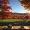 A glass of wine and lunch against the backdrop of the autumn landscape is relaxi...