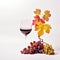 A glass of wine next to a bunch of grapes, autumn clip art.