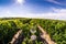 Glass of wine in the vineyard, panoramic view from above in the