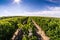 Glass of wine in the vineyard, panoramic view from above in the