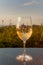 Glasse with white cold wine during sunset time