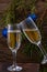 Glasses of champagne with bubbles on the background of Christmas decorations. Glasses touch during a festive toast. Beautiful card