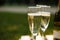 Glasses with champagne on green blurred background. Outdoors picnic weekends