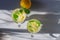 Glasses with chilled lemon mojito with green mint leaves and pieces of sour yellow lemon on a gray background. Top view