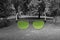 Glasses with green color in it on grey lawn background in York,