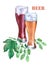 Glasses with light and dark beer. Branch green hops. Watercolor illustration on white background.