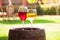 Glasses of red and white wine with grape on old wine barrel outside.