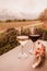 Glasses of red and white wine overlooking vineyard