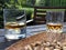 Glasses of whiskey and dried fruit plate on table at garden