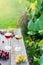 Glasses with white and red wine and grape berries on the wooden table in the vineyards, winery with green leaves