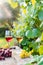 Glasses with white and red wine and grape berries on the wooden table in the vineyards, winery with green leaves