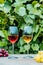 Glasses with white and red wine and grape berries on the wooden table in the vineyards, winery with green leaves