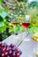 Glasses with white and red wine and grape berries on the wooden table in the vineyards, winery with green leaves