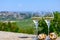 Glasses of white wine from vineyards of Sancerre Chavignol appelation and example of flint pebbles soil, near Sancerre village,