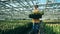 Glasshouse worker holds black basket with tulips, walking near growing flowers.