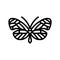 glasswing butterfly spring line icon vector illustration