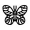 glasswing butterfly spring line icon vector illustration