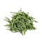 Glasswort Stalks, Bunch of Samphire Isolated on White Background â€“ Green Salicornia Harvest, Pickleweed Vegetable