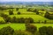 Glastonbury fields
