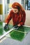 Glazier woman worker measuring glass in workshop. Industry