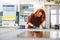 Glazier woman worker polishing glass in workshop. Industry