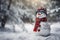 Gleaming Happy snowman. Generate Ai