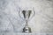 gleaming silver trophy cup against marble wall