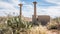 Gleeson Arizona School Ruins