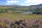 Glen Affric