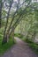 Glen Affric National Nature Reserve, Scotland, UK: Signs mark the trail along the River Affric