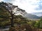 Glen Etive