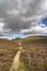 Glen Feshie track in the highlands of Scotland.