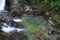 Glen River Swirls in a Green Pool in Northern Ireland