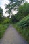 Glenariff Forest Park  forrest path