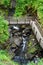 Glenariff Forest Park   Waterfall Trail