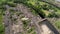 Glenarm Village aerial photo