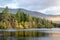 Glencoe Lochan Pine Trees