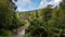 Glendalough cemetery and forest. Ireland